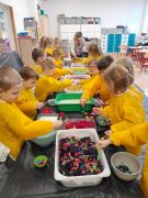 większy obrazek nr 15