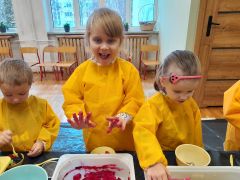 większy obrazek nr 21