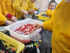 większy obrazek nr 26