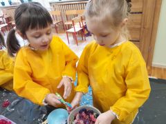 większy obrazek nr 30