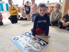 większy obrazek nr 2