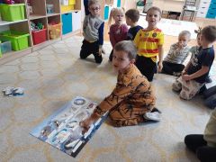 większy obrazek nr 3