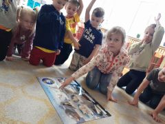 większy obrazek nr 5