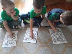 większy obrazek nr 22