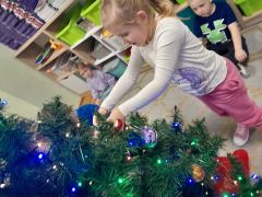 większy obrazek nr 2