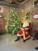 większy obrazek nr 33