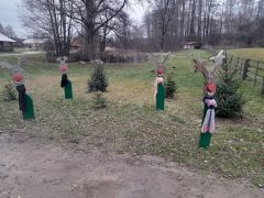 większy obrazek nr 67