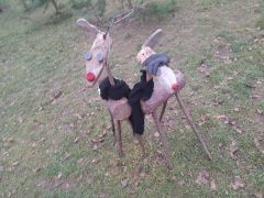 większy obrazek nr 69