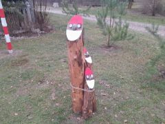 większy obrazek nr 70