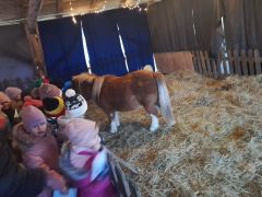 większy obrazek nr 72