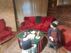 większy obrazek nr 75