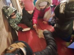 większy obrazek nr 87