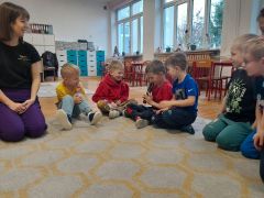 większy obrazek nr 12