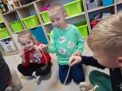 większy obrazek nr 18