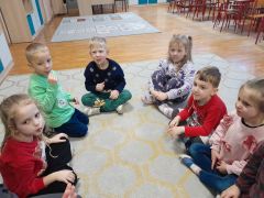 większy obrazek nr 21