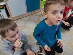 większy obrazek nr 23