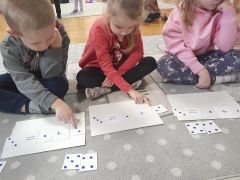 większy obrazek nr 6