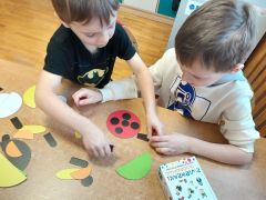 większy obrazek nr 14