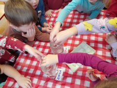 większy obrazek nr 22