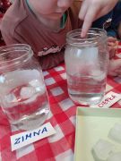 większy obrazek nr 23