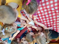 większy obrazek nr 29