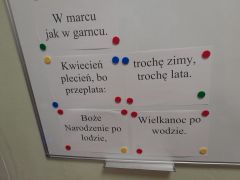 większy obrazek nr 31