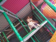 większy obrazek nr 7