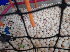 większy obrazek nr 13