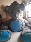 większy obrazek nr 15