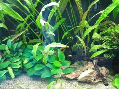 większy obrazek nr 16