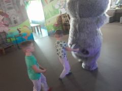 większy obrazek nr 27