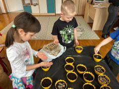 ilustracja do wpisu 
Sadzimy owies