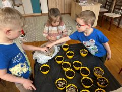 większy obrazek nr 3