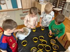 większy obrazek nr 5