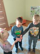 większy obrazek nr 14