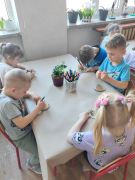 większy obrazek nr 36