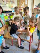 większy obrazek nr 28