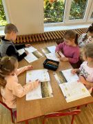 większy obrazek nr 21