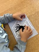 większy obrazek nr 24