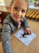 większy obrazek nr 27