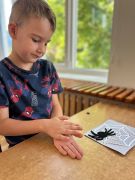 większy obrazek nr 33