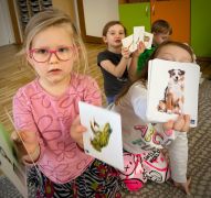 większy obrazek nr 9