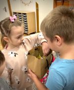 większy obrazek nr 6