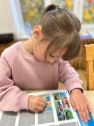 większy obrazek nr 1