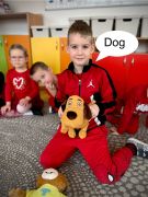 większy obrazek nr 9