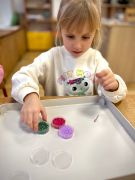 większy obrazek nr 11