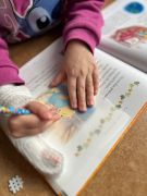 większy obrazek nr 19