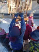 ilustracja do wpisu 
,,Bo wszystkie przedszkolaki karmią głodne ptaki"