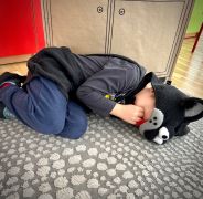 większy obrazek nr 11