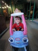 większy obrazek nr 3